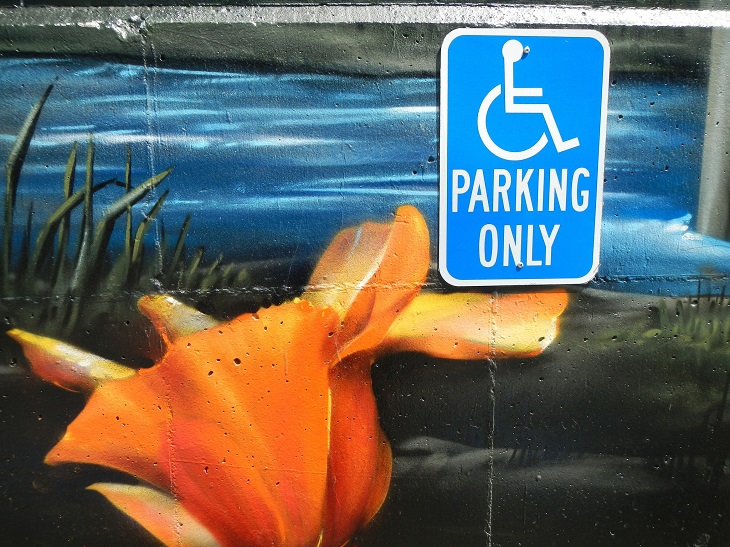 Dr. Handicap - handicap sign and flower