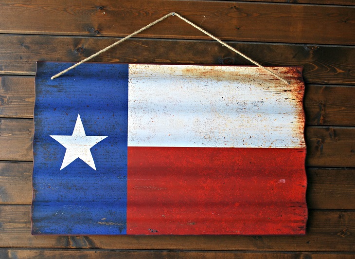 Dr Handicap - Texas flag