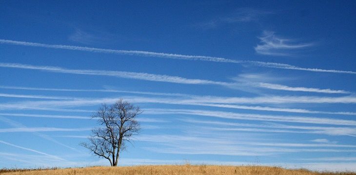 Dr Handicap - Kansas prairie