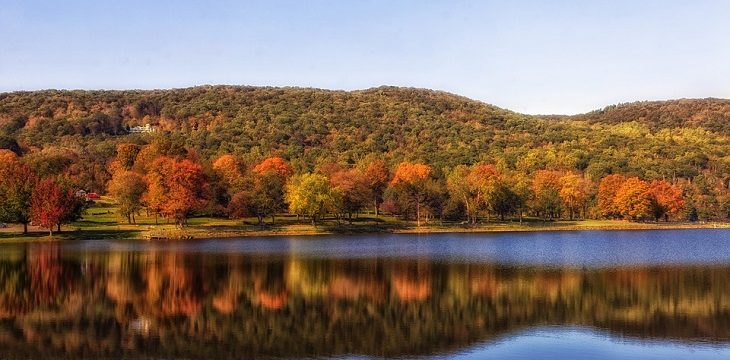 Dr. Handicap - Connecticut