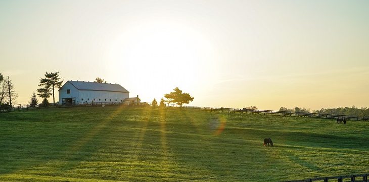 Dr Handicap - Kentucky