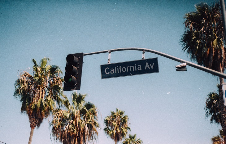 Dr Handicap - California driving