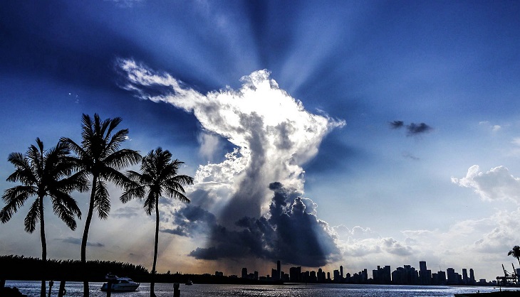 Dr Handicap - Miami