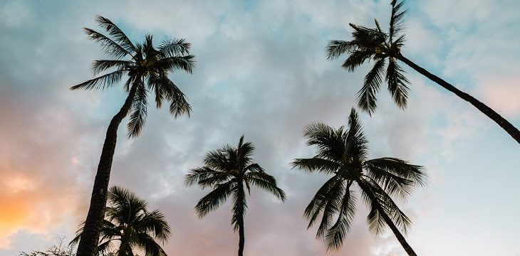 Dr Handicap - Hawaii