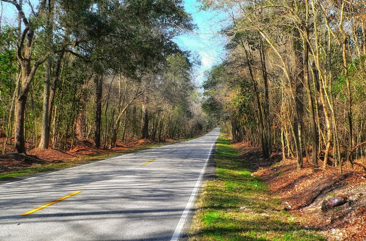 Dr Handicap - South Carolina road