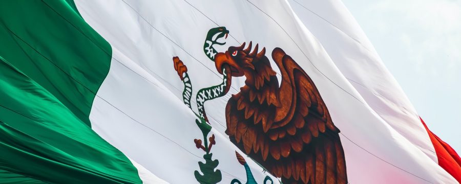 Dr Handicap - Mexico