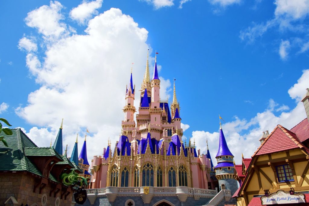 Dr Handicap - Disney World